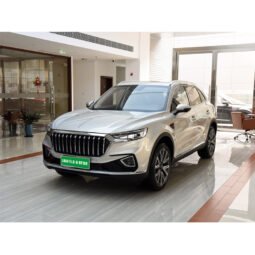 
										Hongqi HS5 full									