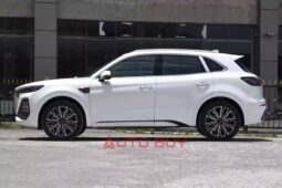 
										Hongqi HS5 full									