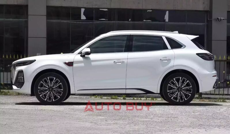 
								Hongqi HS5 full									