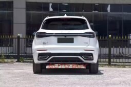 
										Hongqi HS5 full									