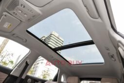 
										Hongqi HS5 full									