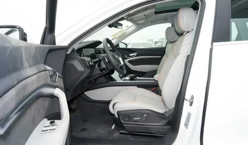
								Audi e-tron full									