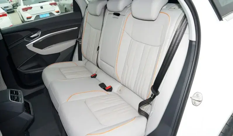 
								Audi e-tron full									