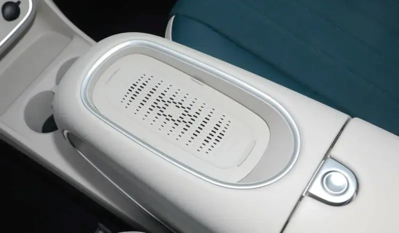 
								GWM Ora Funky Cat full									