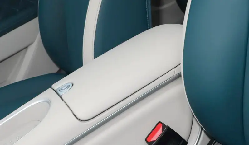 
								GWM Ora Funky Cat full									