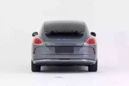 GWM Ora Lightening Cat